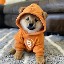 Dog (Bitcoin)
